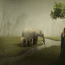 The Elephants Keeper