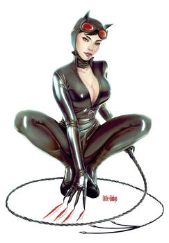 Catwoman  fanart 2