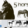 5 Free High-res Horse Photoshop Brushes