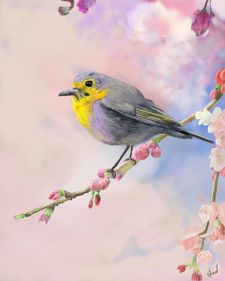 Deviantart Bird Designs Mystery Bird by MerlinVonBaron on DeviantArt