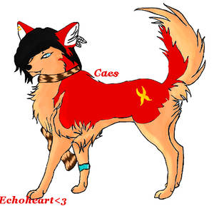 Caes the wolf