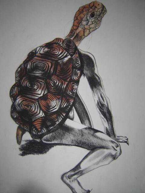 Turtle Shell On Man Irl Turtle man by swordfishtrombone on DeviantArt