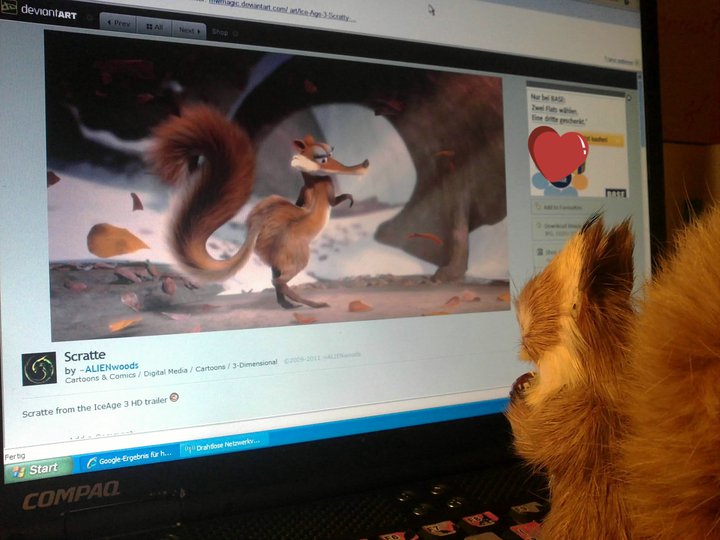 Scrat ist im Internet