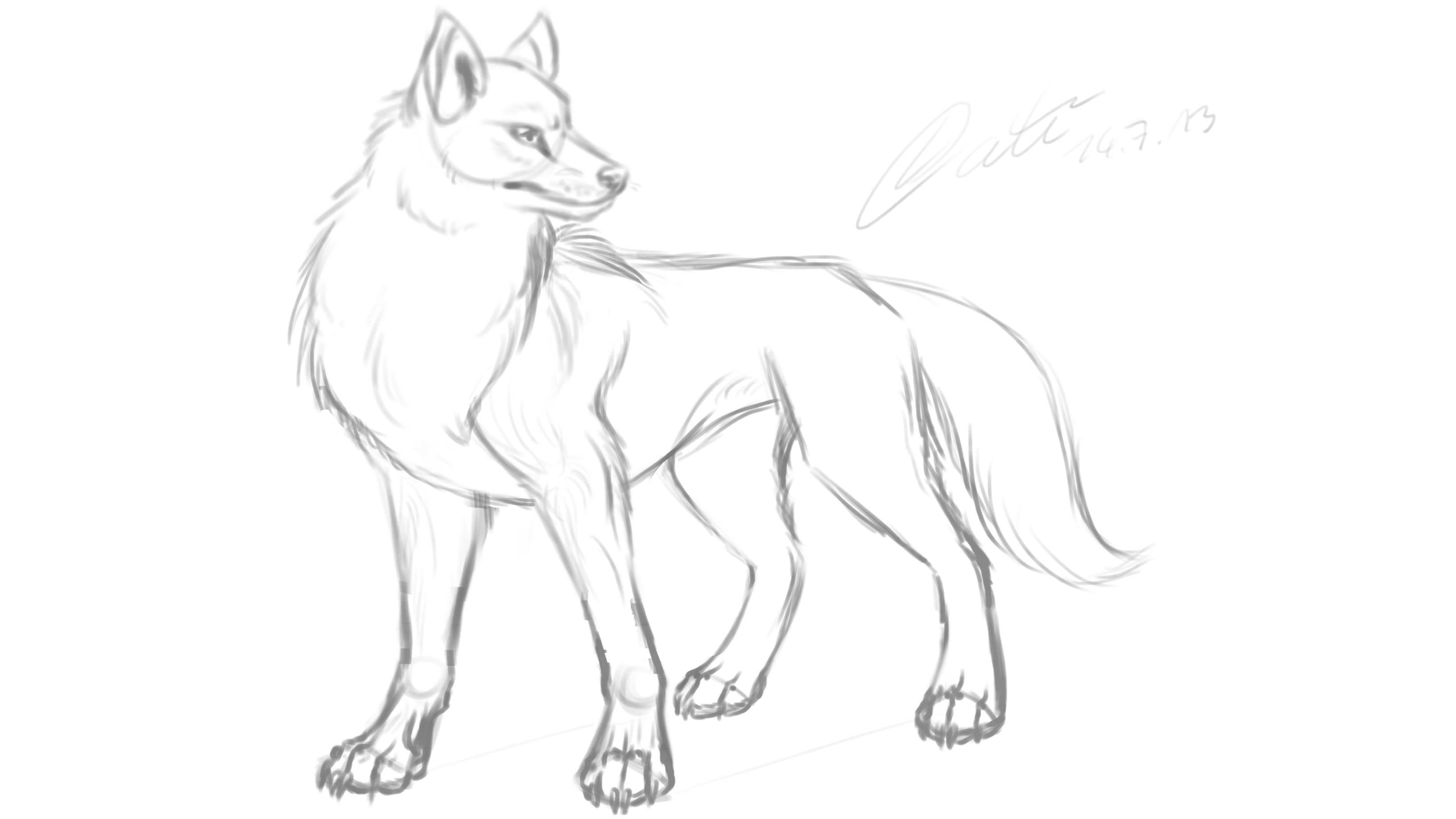 Random Wolf Sketch by Wolfwrathknight on DeviantArt
