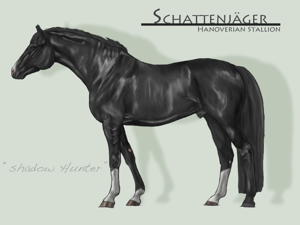 Schattenjager - Hanoverian