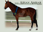 OVEC Athan Ambar - Weanling by SageSinRiddle