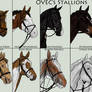 OVEC Stallion Project