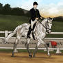 A Dressage Showcase