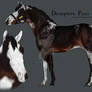 A Mysterious Thoroughbred