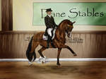 Attention to Detail - Dressage by SageSinRiddle