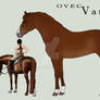 OVEC Van Sul