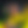 Supermassive Sunflower