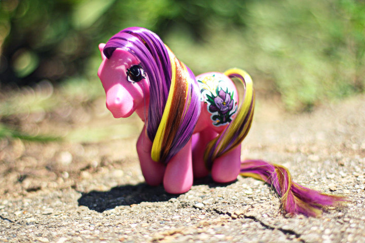 pink custom pony