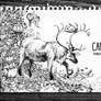 #129 Caribou