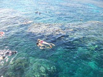 Great Barrier Reef