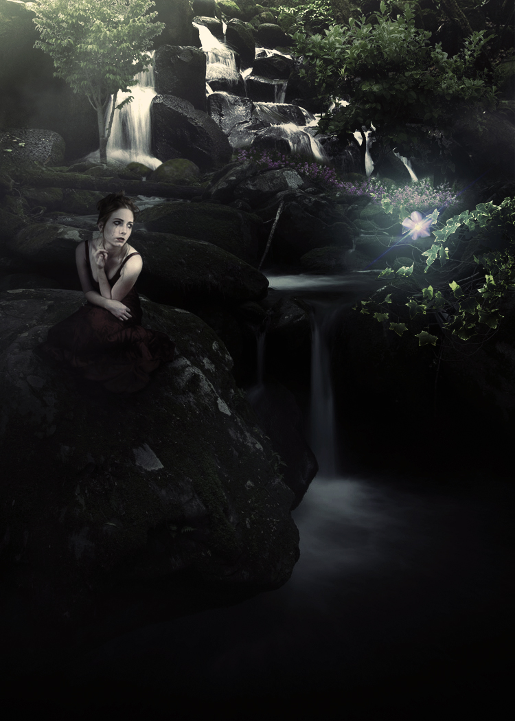 A Light in the Dark - Photomanipulation