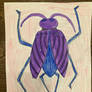 Purple Beetle Picture 