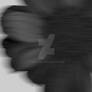 Shen Ji, Untitled blurry floral photography, 2025