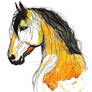 Shen Ji, Portrait of a horse,watercolour+fineliner