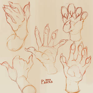 Paws studies