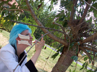 Grimmjow Nom