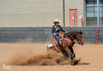 Cowhorse stop