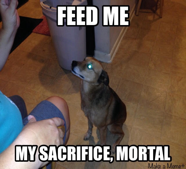 Sacrifice To The Dog God By Peppermintpony9 On Deviantart Sacrifice To The Dog God By Peppermintpony9 On Deviantart
