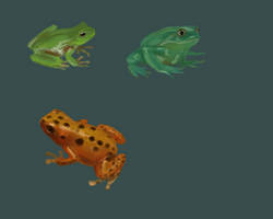 Frogs