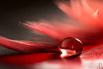 Red droplet. by Ravenith