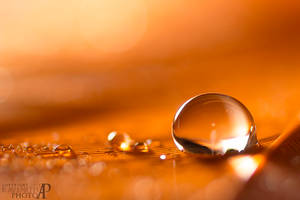 Sunset droplet.