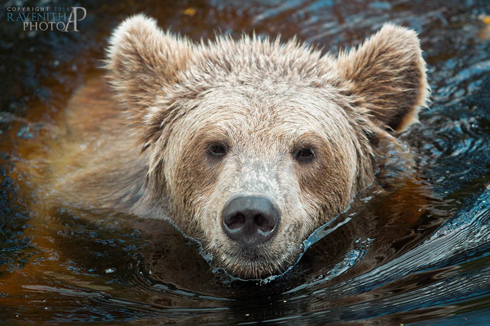 Swim and smile.