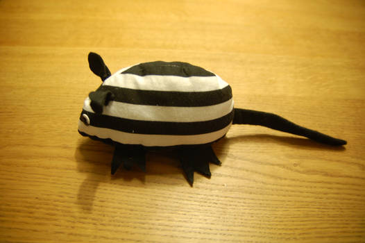 The Striped Rat