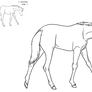 Free Lineart - Foal Walking