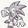 Sonic Black and White