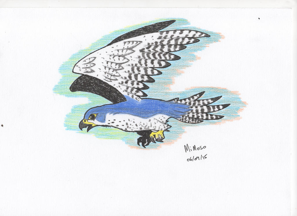 Falcon Texture by mimosoxd on DeviantArt