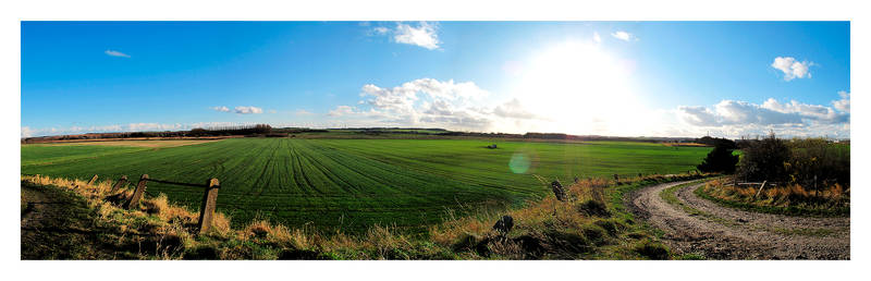 Danish countryside