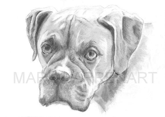 Deviantart Boxer Dog Boxer Dog Drawing by mark-warren on DeviantArt