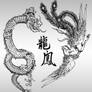 Chinese Dragon and Phoenix