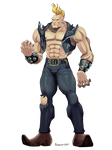 Street Fighter 1-Birdie by vf02ss