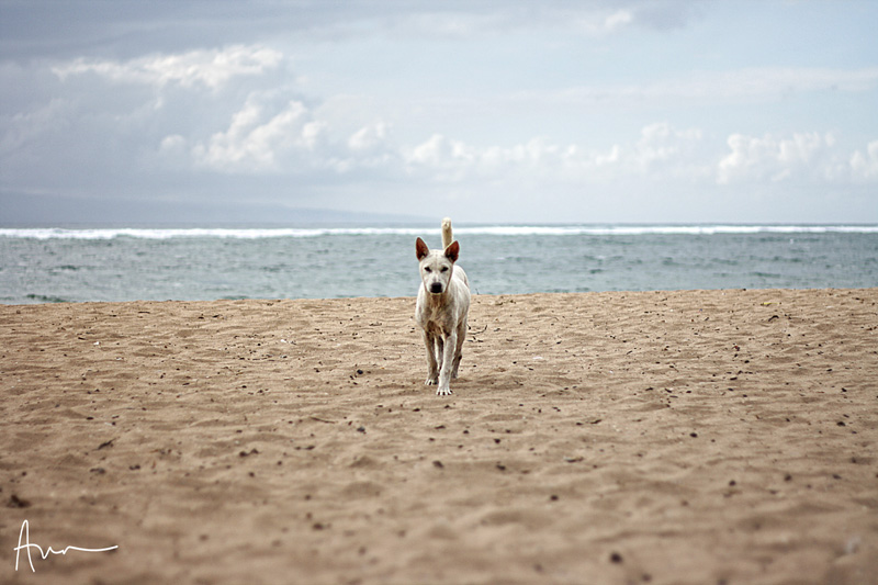 sanur beach Bali