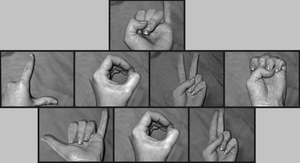 Sign Language