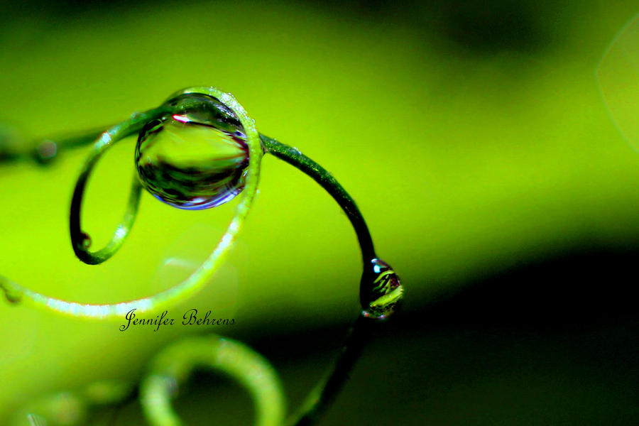 crystal loop by lilfrogs crystal loop by lilfrogs