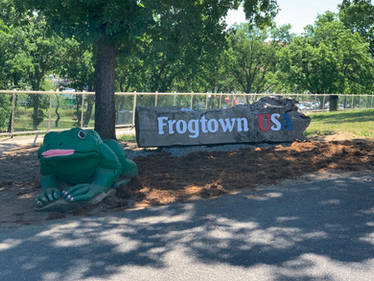 Explore the Best Frogtown Art | DeviantArt