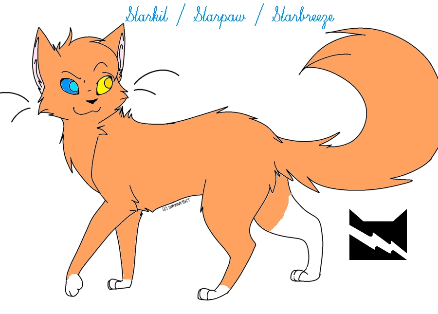 Starbreeze of ThunderClan