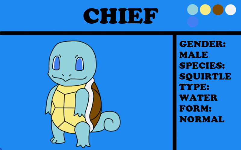 Chief the Squirtle