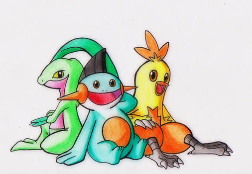 Pokemon Generation 3: Hoenn Starter First Evolve