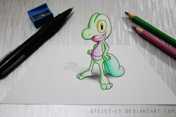 Treecko 3D Drawing by Sajiro158 on DeviantArt