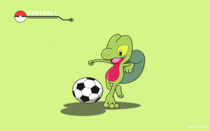 FOOTBALL - Treecko