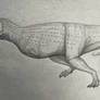 Tralkasaurus cuyi