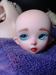 Cesca, My First Faceup